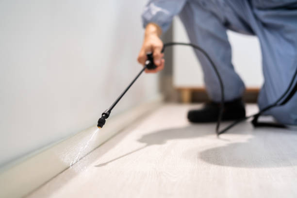 Licensed Pest Control service in Forest, VA - Nex Pest Control