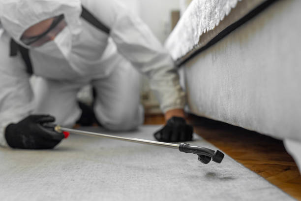 Professional Pest Control technician working in Forest, VA