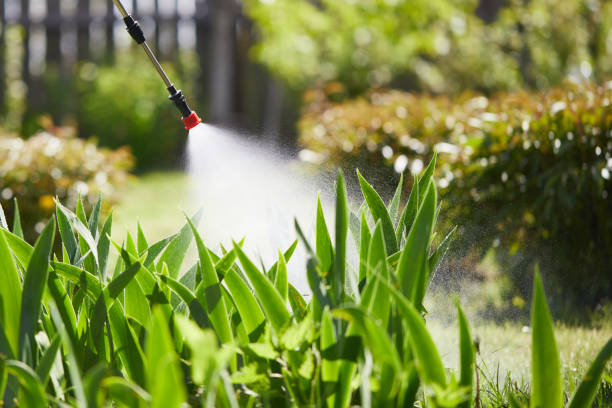 24/7 Emergency Pest Control experts in Forest, VA