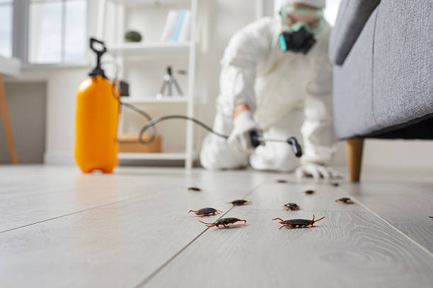 Affordable Pest Control solutions in Forest, VA