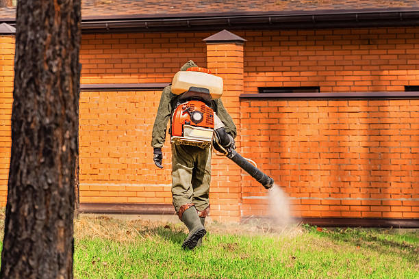 Top rated local Pest Control specialists in Forest, VA